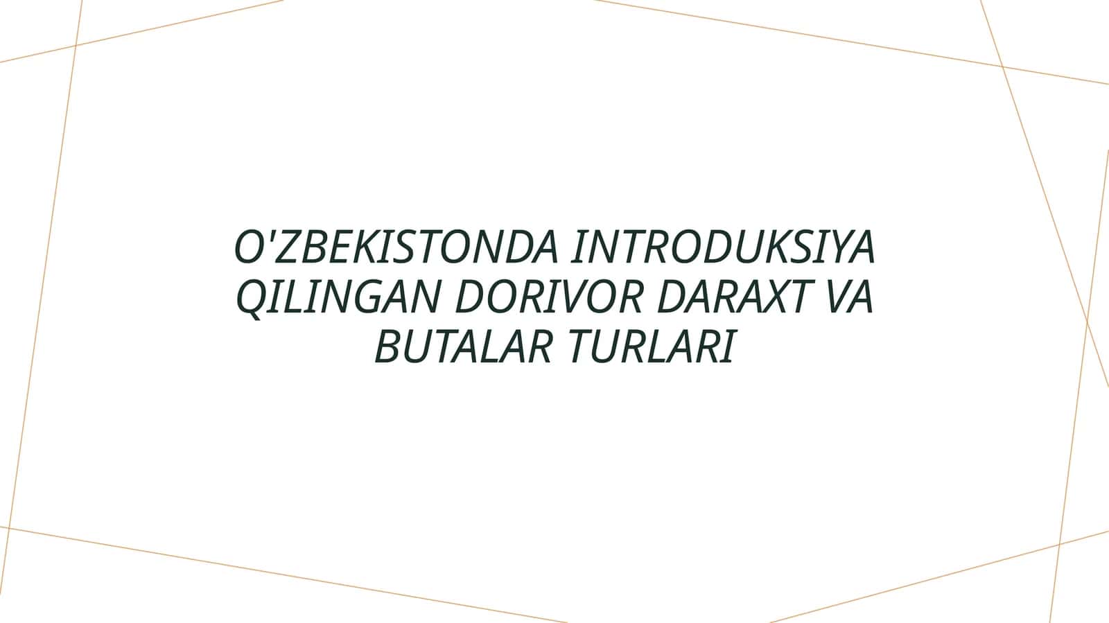 O'zbekistonda introduksiya qilingan dorivor daraxt va butalar turlari 1