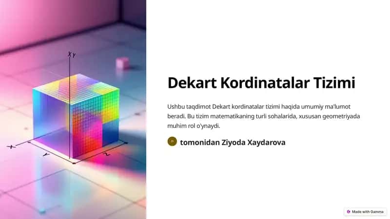 Dekart Kordinatalar Tizimi 1