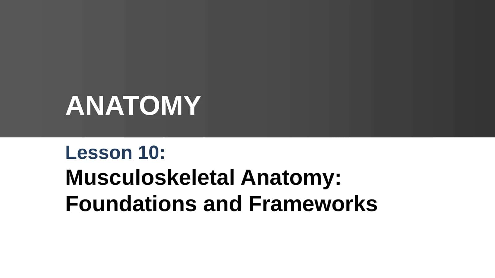 Musculoskeletal Anatomy: Foundations and Frameworks 1