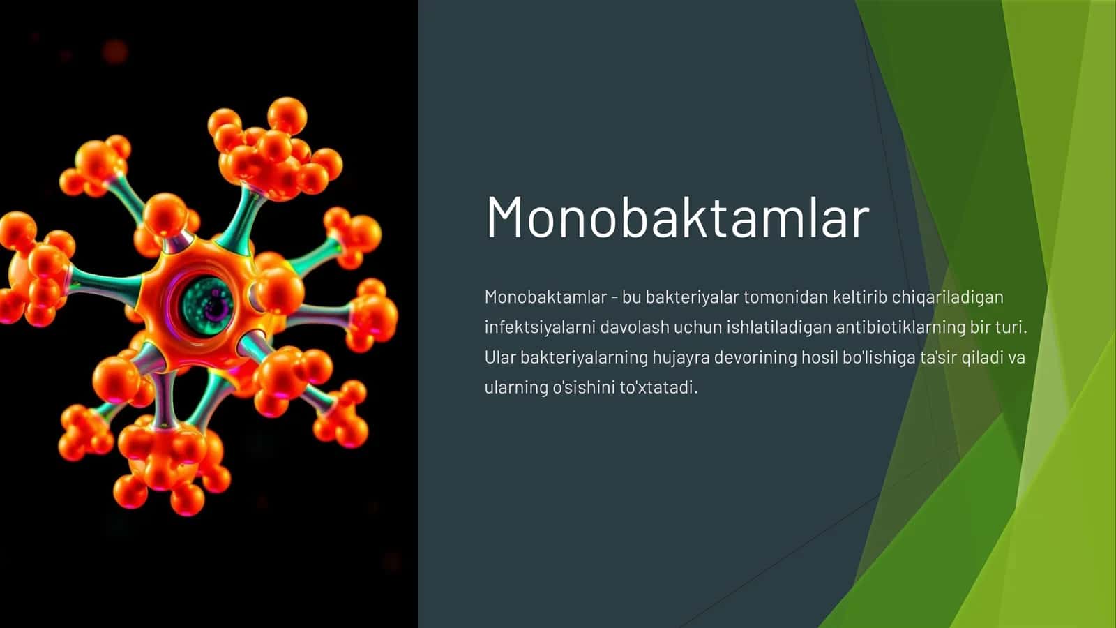 Monobaktamlar 1
