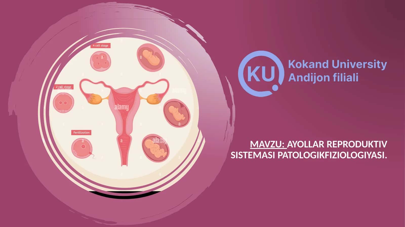 Ayollar reproduktiv sistemasi patologikfiziologiyasi 1