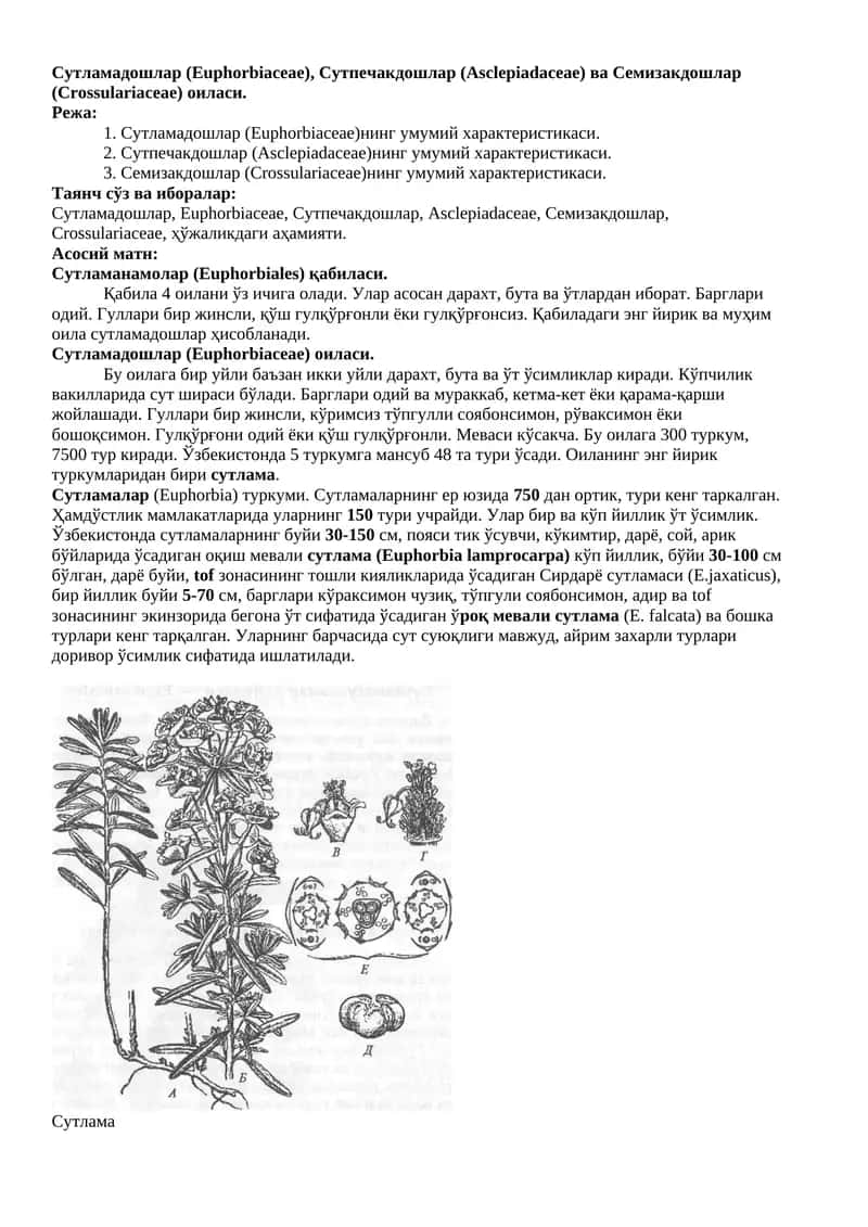 Сутламадошлар (Euphorbiaceae) 1