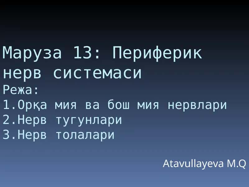Периферик нерв системаси 1