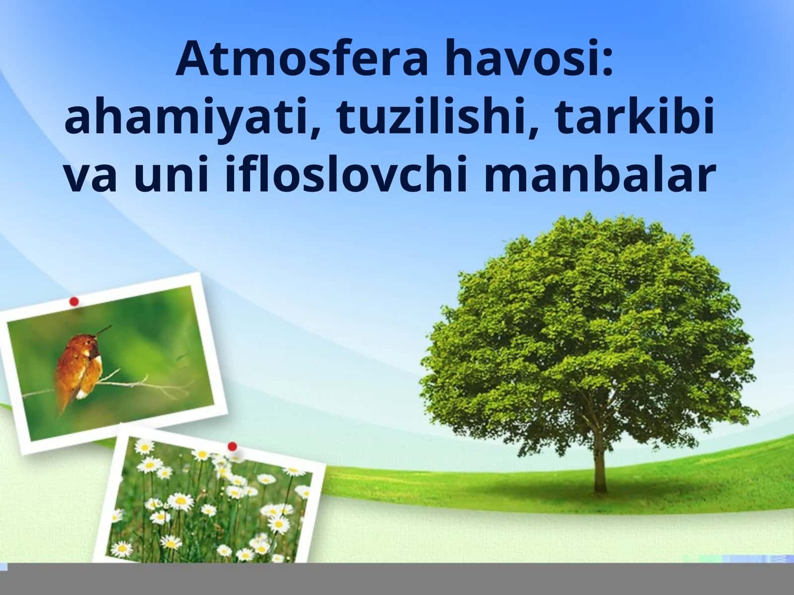 Atmosfera havosi ahamiyati, tuzilishi, tarkibi va uni ifloslovchi manbalar 1