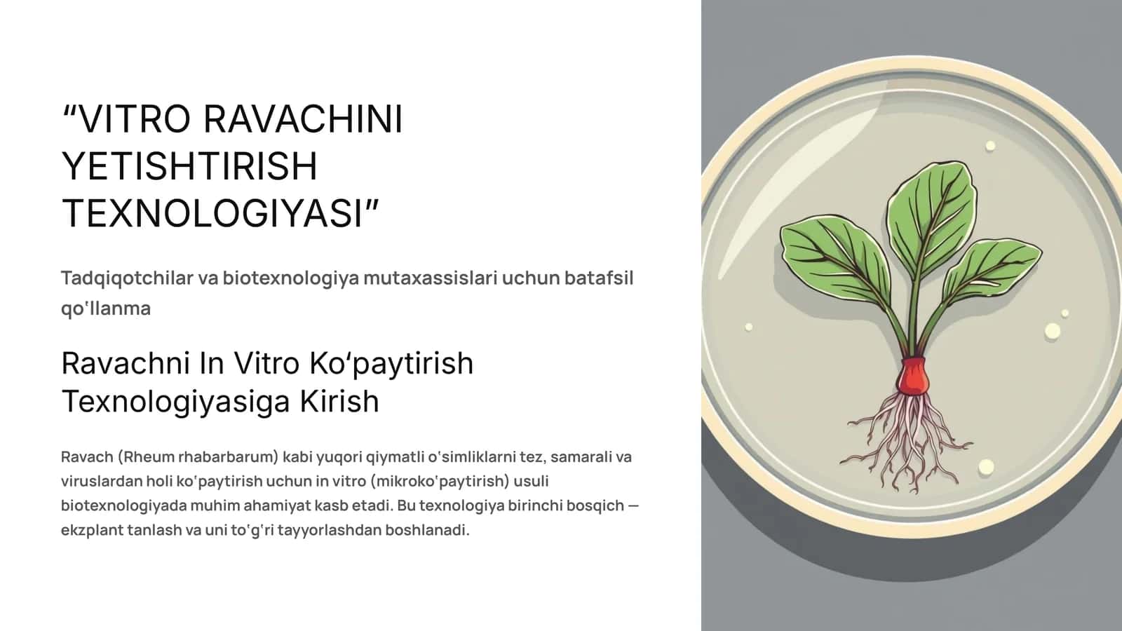 VITRO RAVACHINI YETISHTIRISH TEXNOLOGIYASI 1