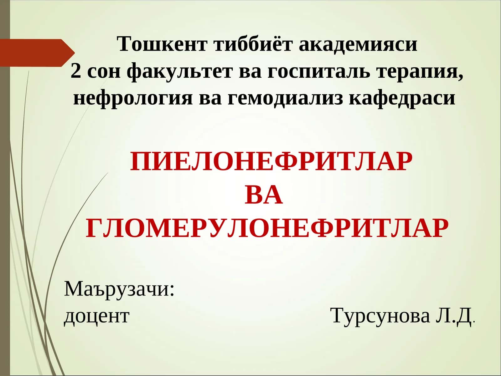 Пиелонефрит ва гломерулонефритлар 1