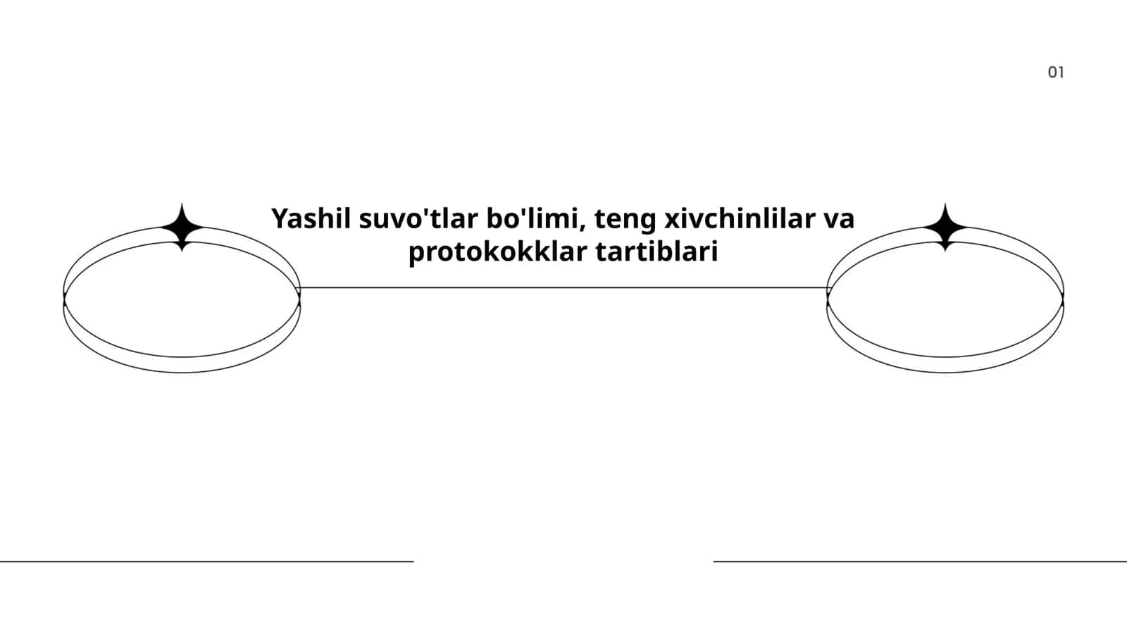 Yashil suvo'tlar bo'limi, teng xivchinlilar va protokokklar tartiblari 1