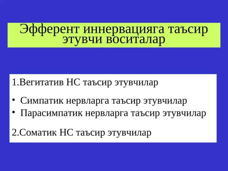 Эфферент иннервацияга таъсирэтувчи воситалар 1