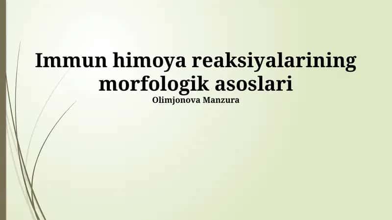 Limfoid to'qimalarning morfologiyasi 1