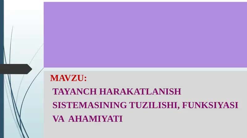 TAYANCH HARAKATLANISH SISTEMASI 1