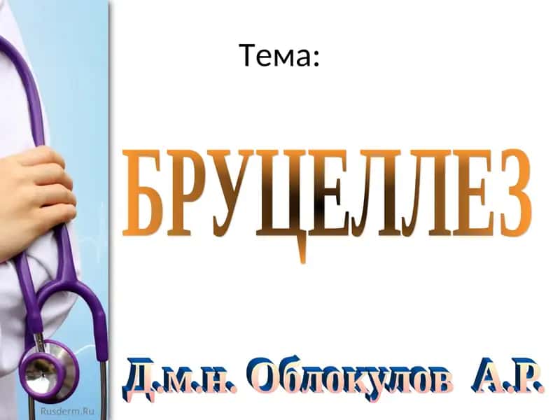 БРУЦЕЛЛЕЗ 1