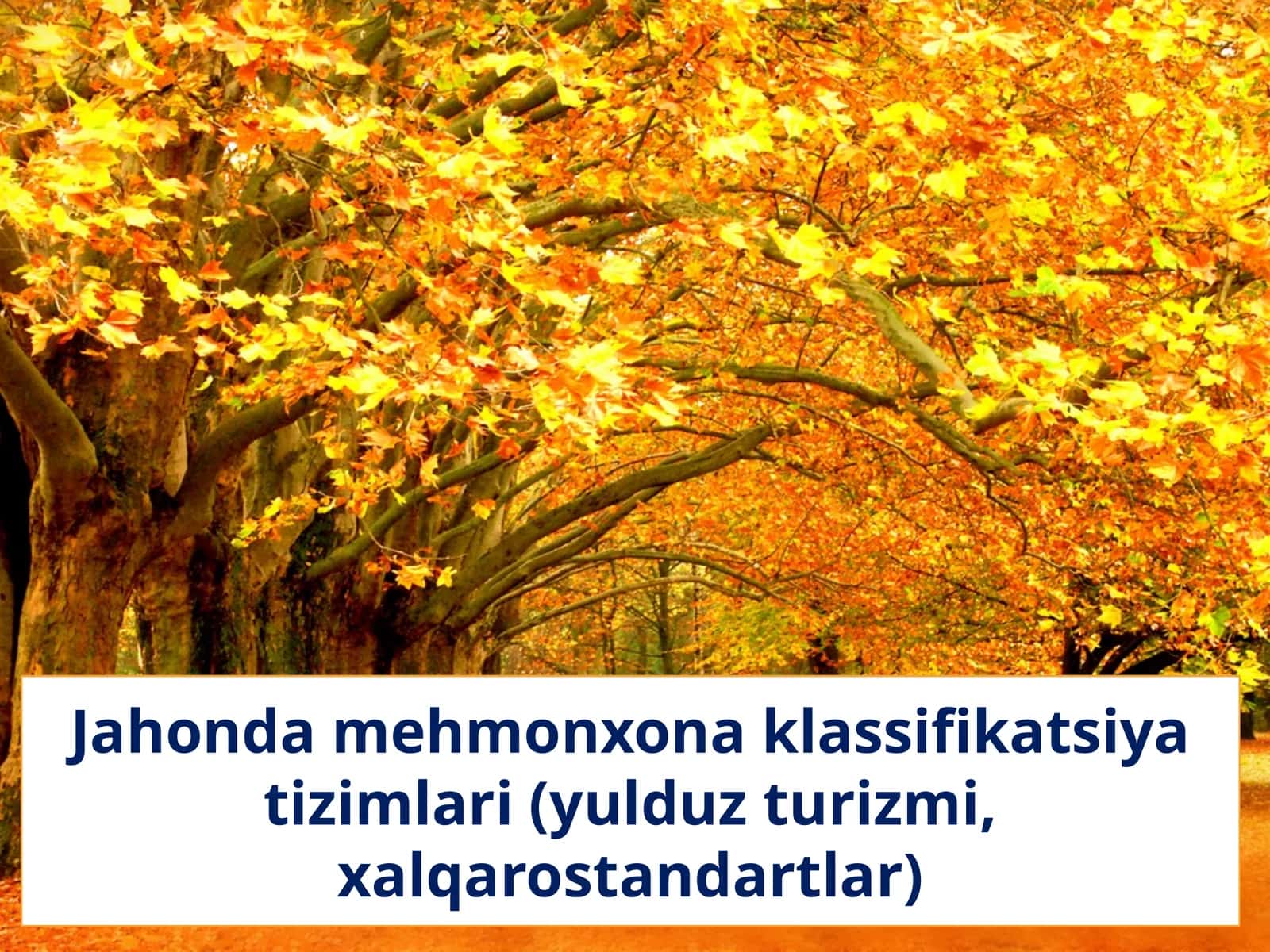 Jahonda mehmonxona klassifikatsiya tizimlari (yulduz turizmi, xalqarostandartlar) 1