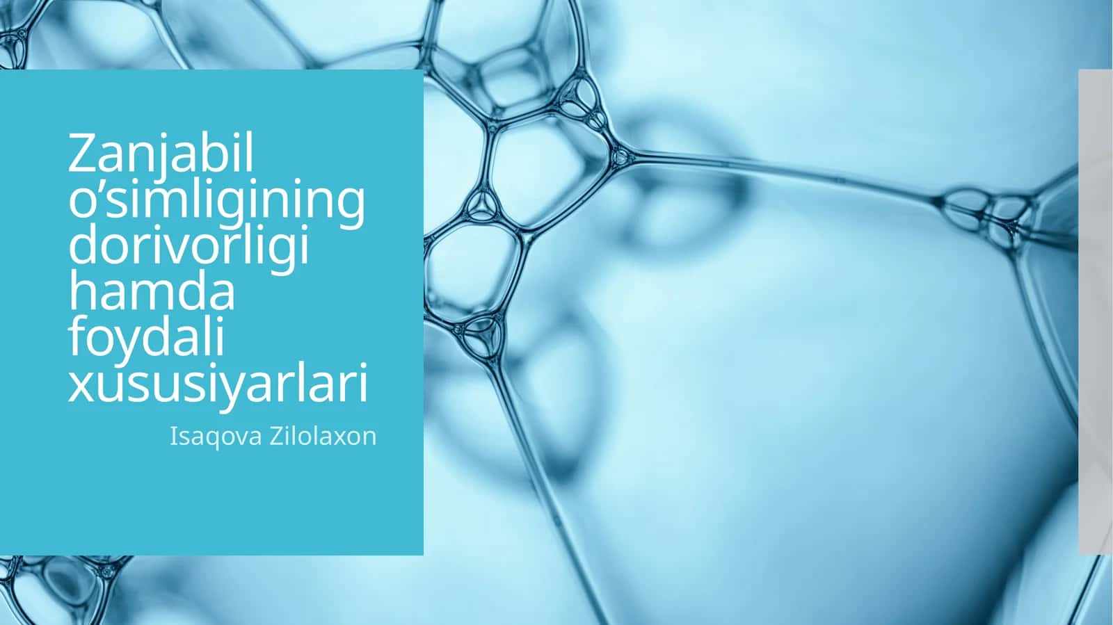 Zanjabil o’simligining dorivorligi hamda foydali xususiyarlari 1
