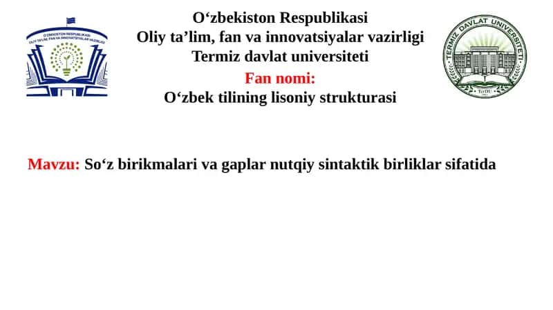 Soʻz birikmalari va gaplar nutqiy sintaktik birliklar sifatida 1