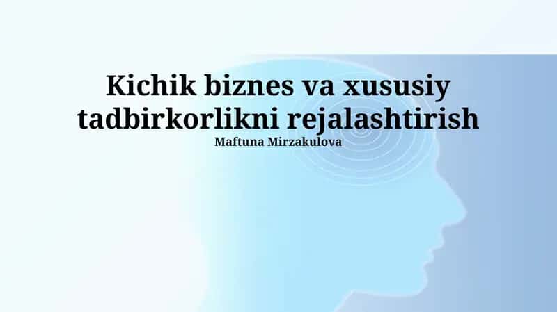 Kichik biznes va xususiy tadbirkorlikni rejalashtirish 1