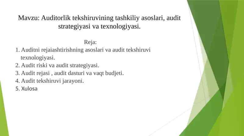 Auditorlik tekshiruvining tashkiliy asoslari, audit strategiyasi va texnologiyasi 1