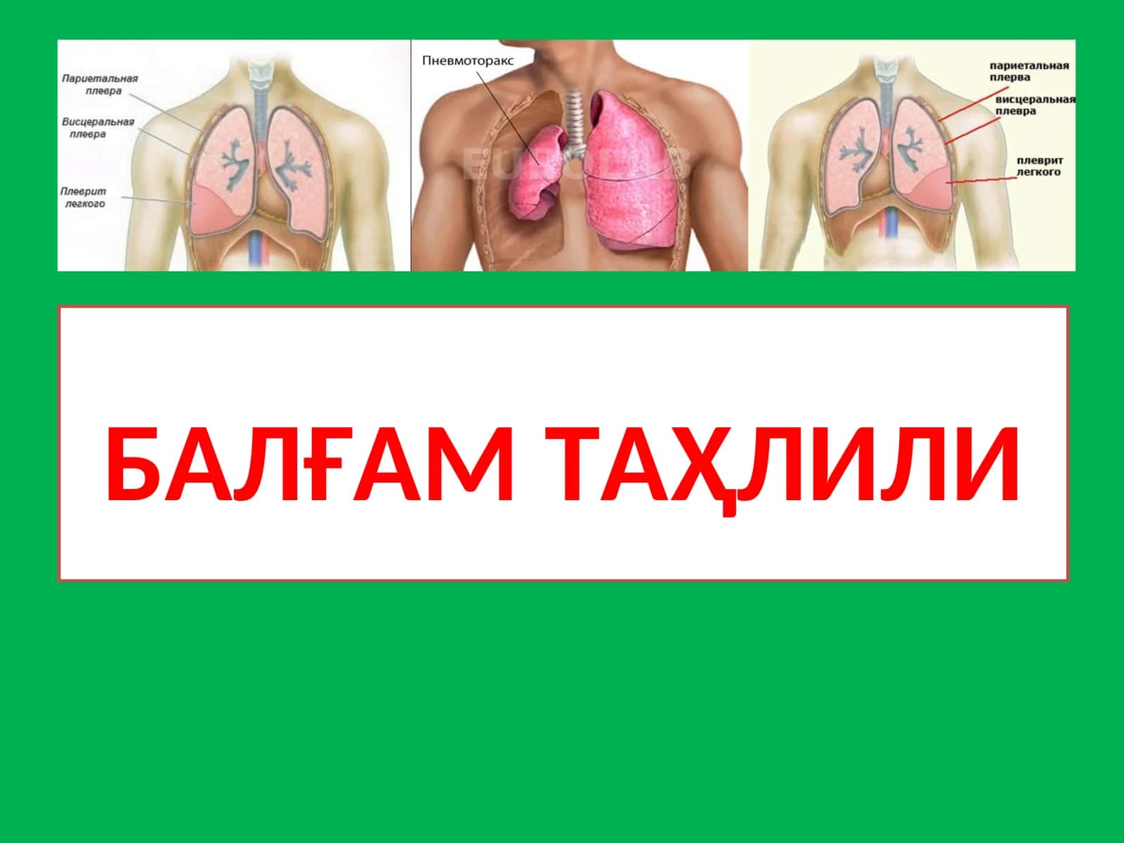 БАЛҒАМ ТАҲЛИЛИ 1