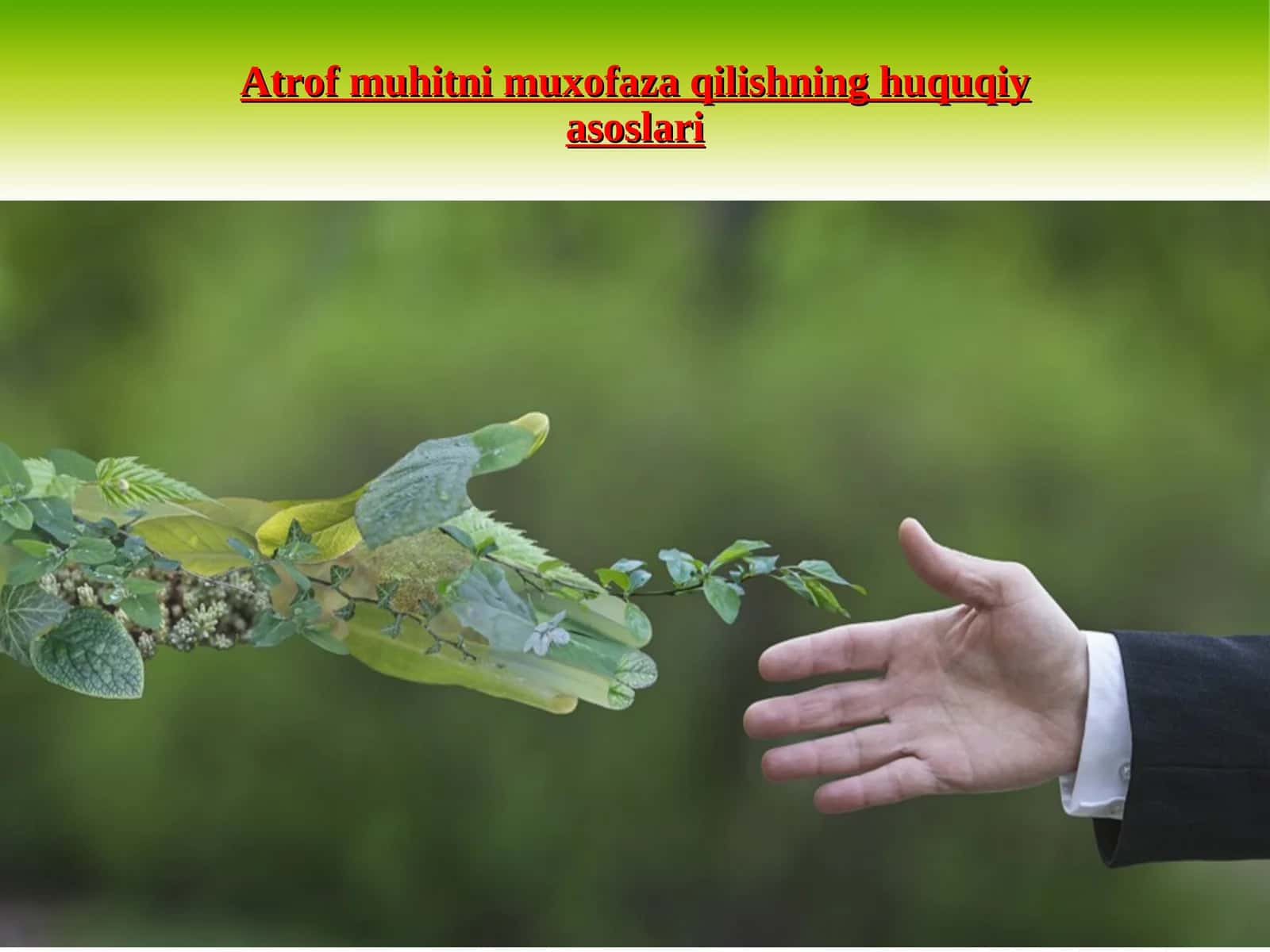 Atrof muhitni muxofaza qilishning huquqiy asoslari 1