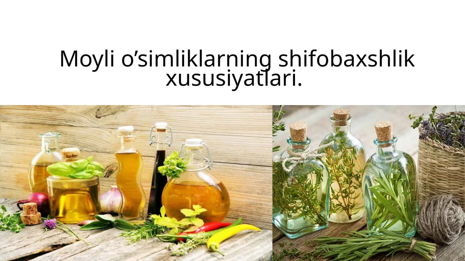 Moyli o’simliklarning shifobaxshlik xususiyatlari 1