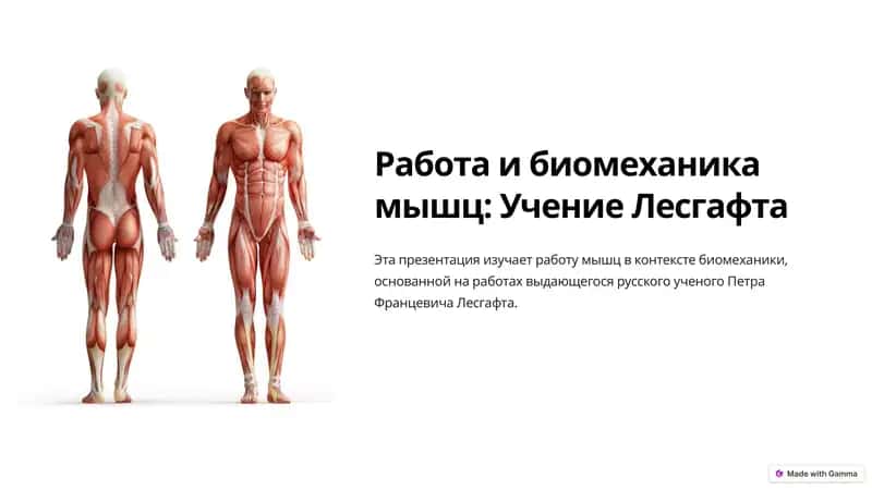Иш ва мускуллар биомеханика: Лесгафтнинг маълумотлари 1