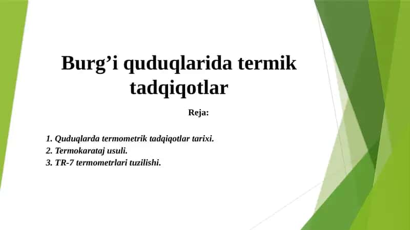 Burg’i quduqlari datermik tadqiqotlar 1