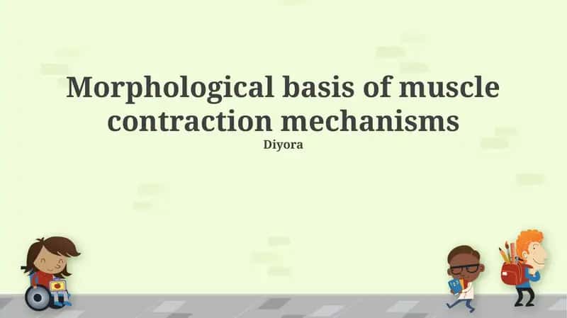 Morphological basis of muscle contraction mechanisms 1