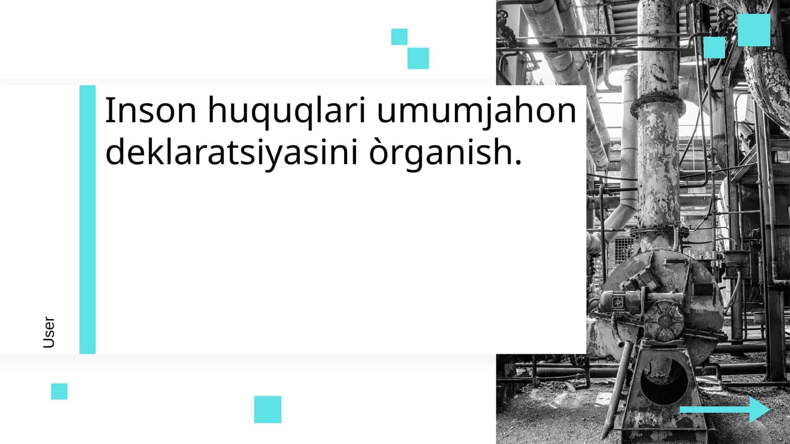 Inson huquqlari umumjahon deklaratsiyasini òrganish 1