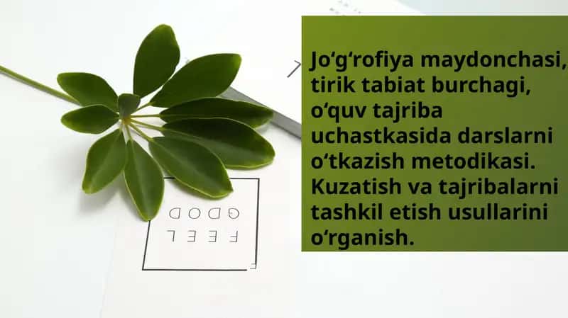 Jo‘g‘rofiya maydonchasi, tirik tabiat burchagi, o‘quv tajriba uchastkasida darslarni o‘tkazish metodikasi. Kuzatish va tajribalarni tashkil etish usullarini o‘rganish 1