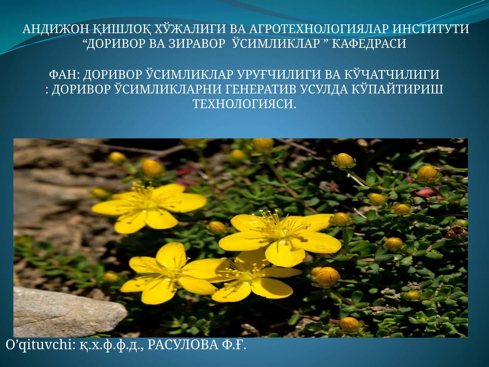 ДОРИВОР ЎСИМЛИКЛАР УРУҒЧИЛИГИ ВА КЎЧАТЧИЛИГИ: ДОРИВОР ЎСИМЛИКЛАРНИ ГЕНЕРАТИВ УСУЛДА КЎПАЙТИРИШ ТЕХНОЛОГИЯСИ 1