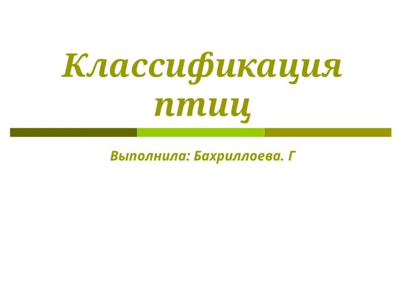 Классификация птиц 1
