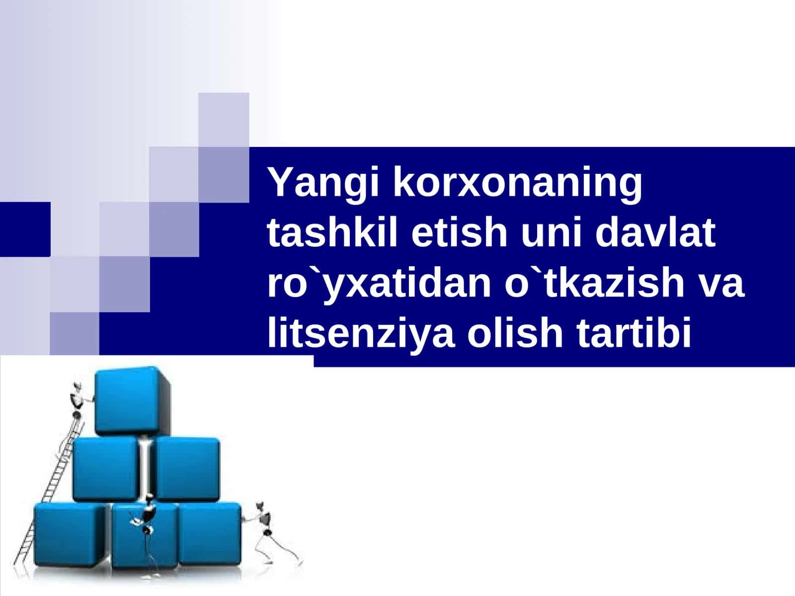 Yangi korxonaning tashkil etish uni davlat  ro`yxatidan o`tkazish va litsenziya olish tartibi 1