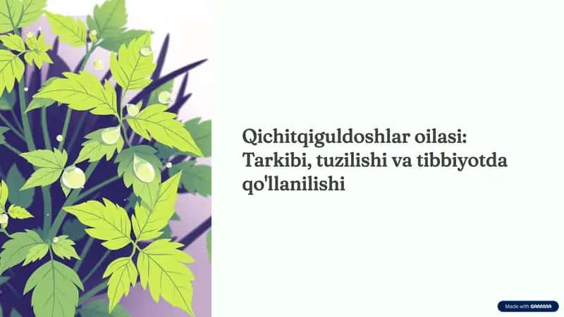 qichitqigullilar oilasi tarkibi tuzilishi va vazifalari haqida. 1
