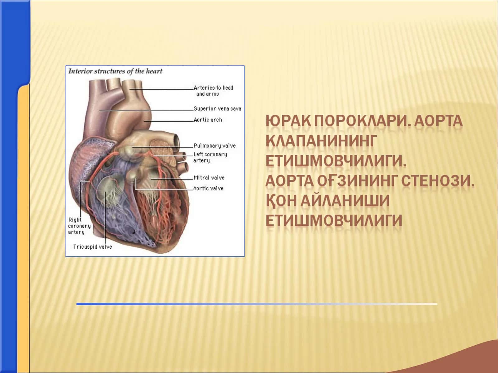 юрак  пороклари 1