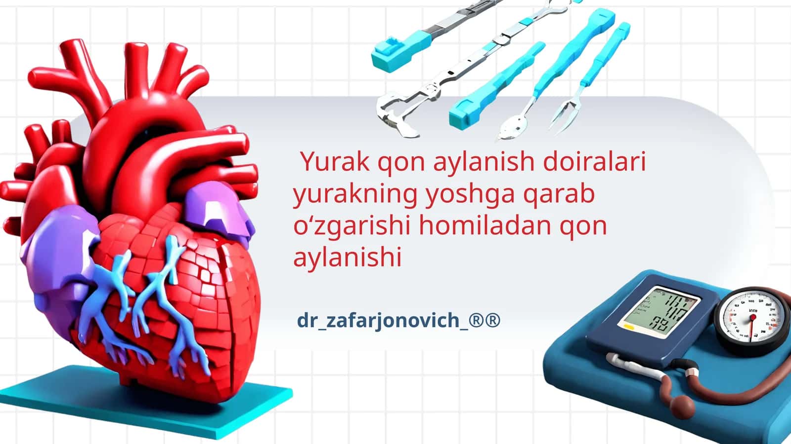 Homilalik qon aylanish doiralari va ularning o'zgarishi 1