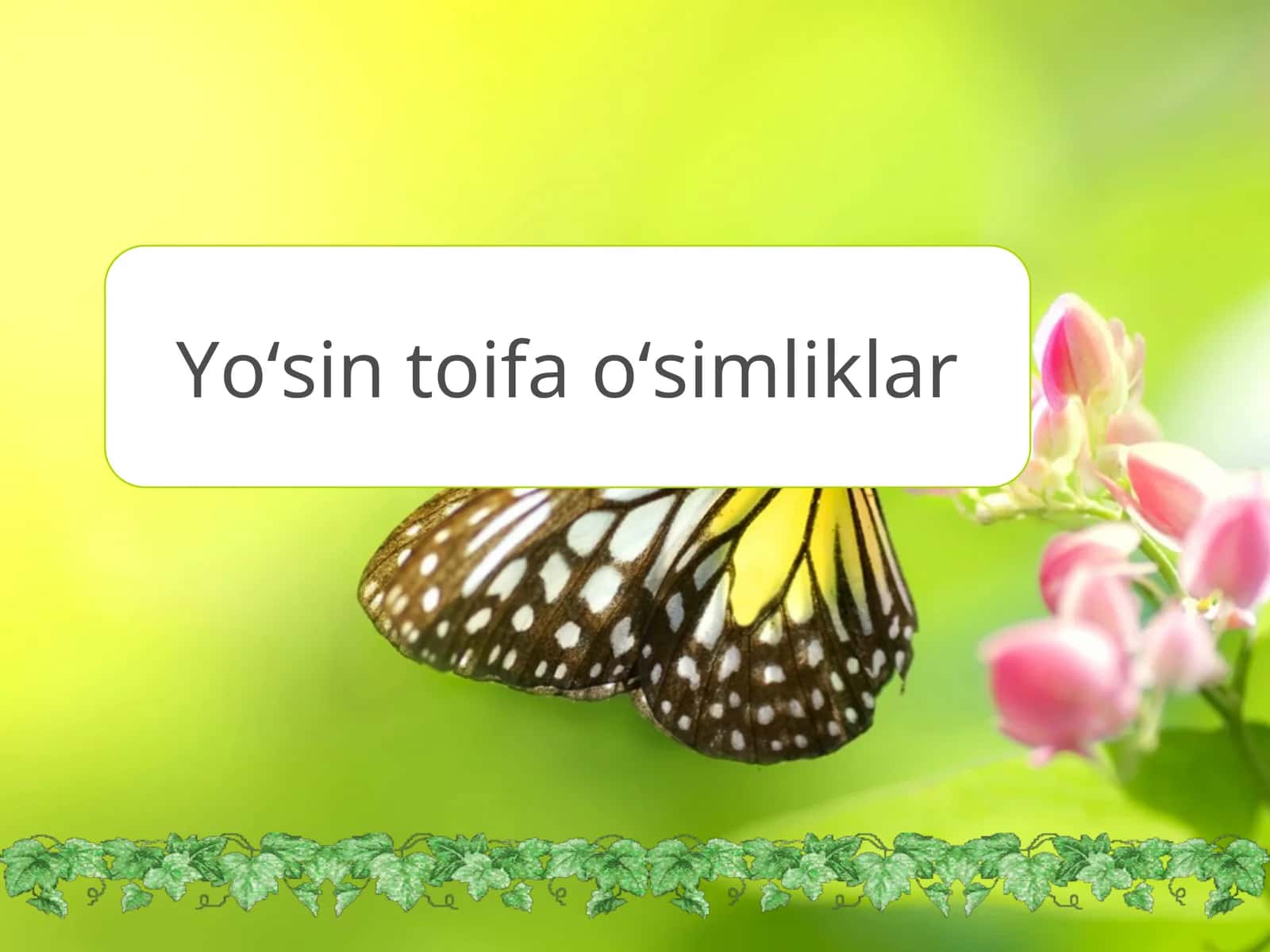 Yo‘sin toifa o‘simliklar 1