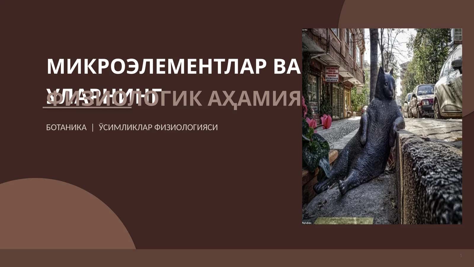 МИКРОЭЛЕМЕНТЛАР ВА УЛАРНИНГ ФИЗИОЛОГИК АҲАМИЯТИ 1