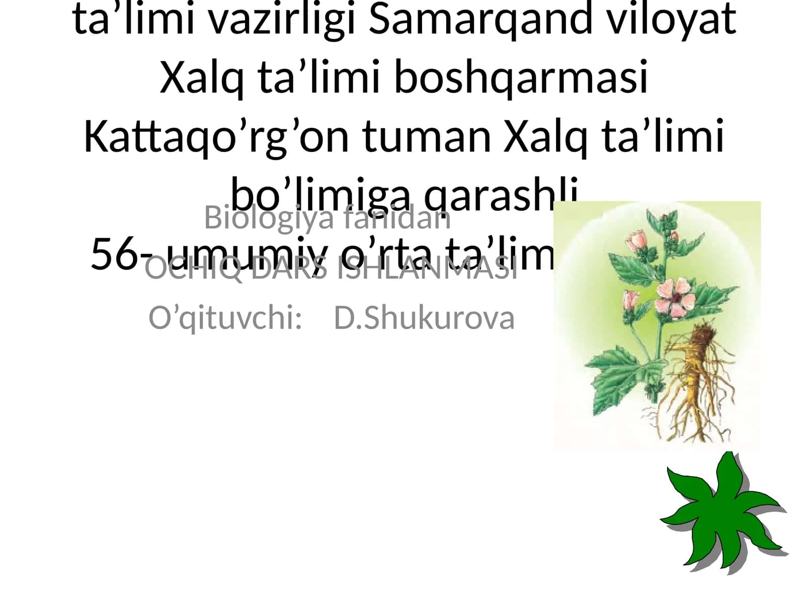 GULLARNING XILMA XILLIGI 1