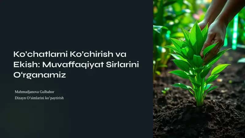 Ko’chatlarni Ko’chirish va Ekish: Muvaffaqiyat Sirlarini O‘rganamiz 1