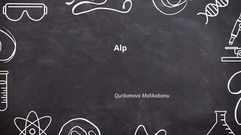 Alp 1