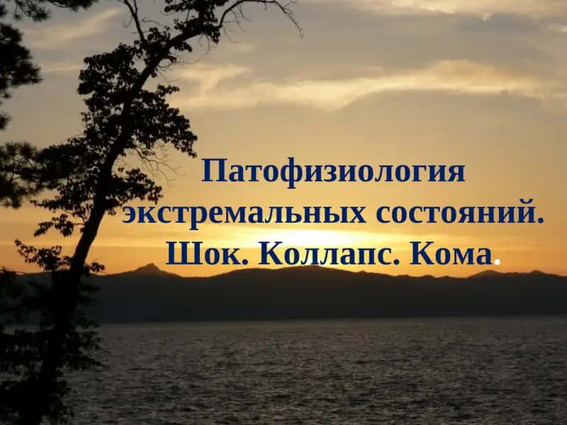 Экстремальные состояния. Шок. Коллапс. Кома 1