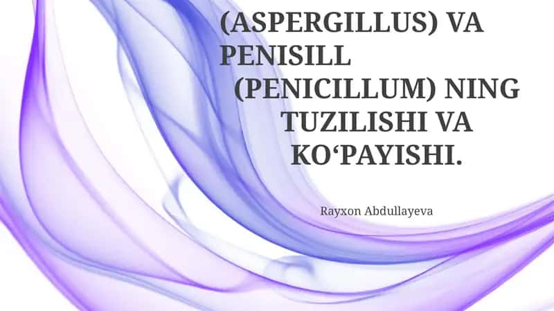 Aspergillus va Penicill (Penicillium) ning tuzilishi va ko‘payishi 1