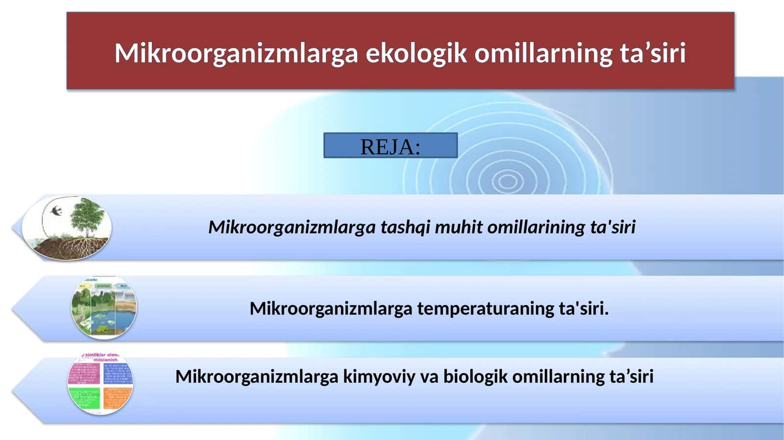 Mikroorganizmlarga ekologik omillarning ta’siri 1