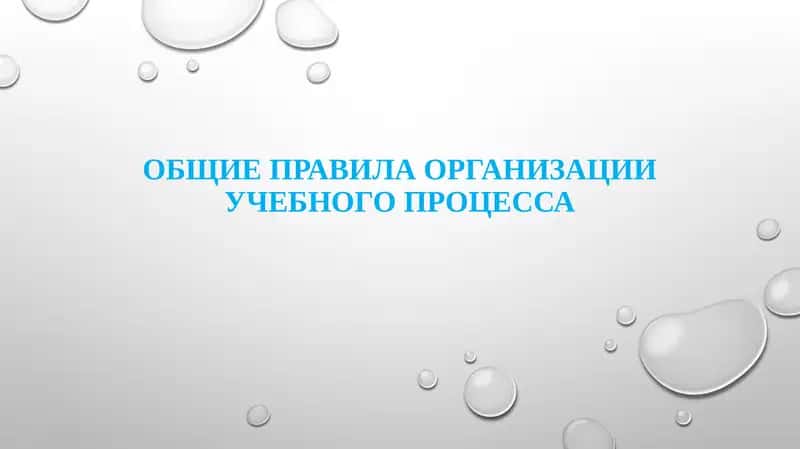 Общие правила организации учебного процесса 1