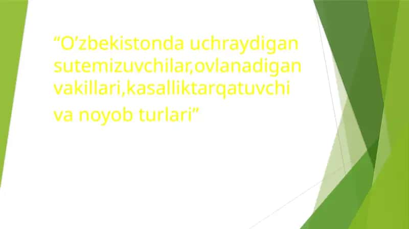 “O’zbekistonda uchraydigan sutemizuvchilar,ovlanadigan vakillari,kasallik tarqatuvchi va noyob turlari” 1