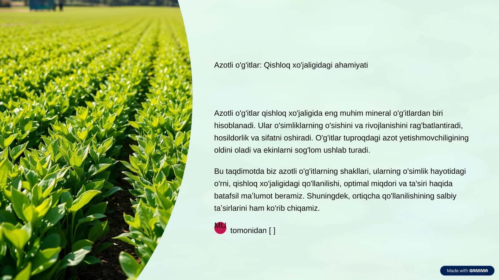 Azotli o'g'itlar: Qishloq xo'jaligidagi ahamiyati 1