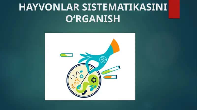 HAYVONLAR SISTEMATIKASINI O‘RGANISH 1