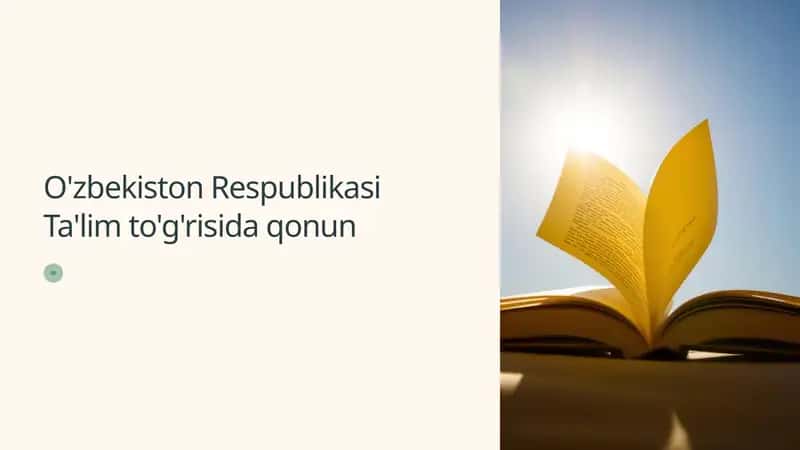 O'zbekiston Respublikasi Ta'lim to'g'risida qonun 1