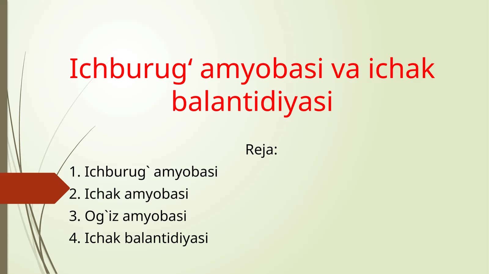 Ichburug‘ amyobasi va ichak balantidiyasi 1