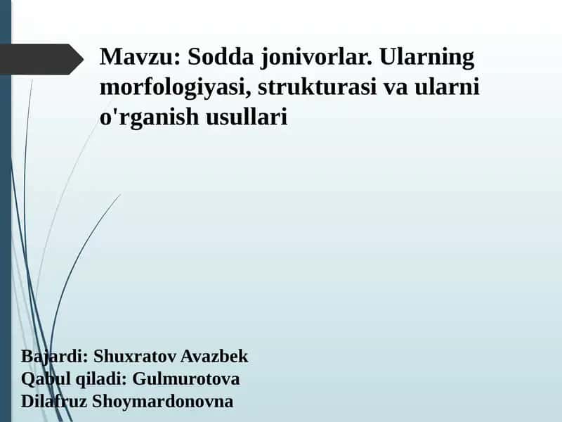 Sodda jonivorlar. Ularning morfologiyasi, strukturasi va ularni o'rganish usullari 1