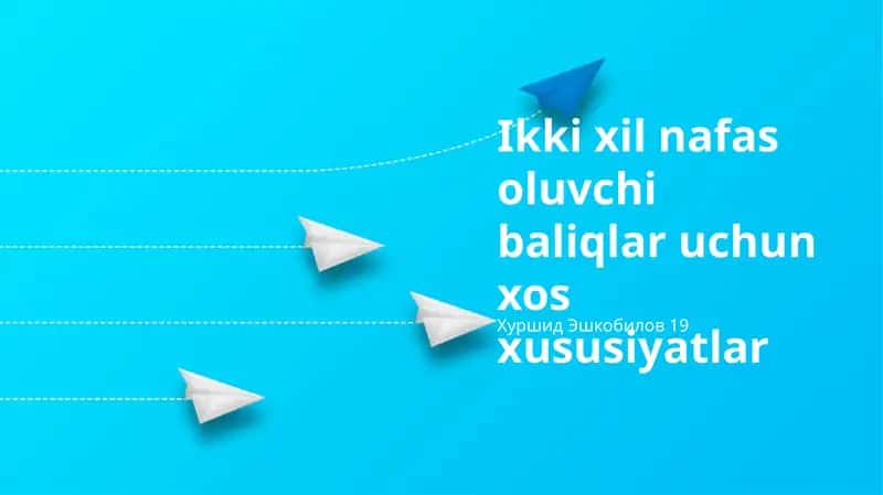 Ikki xil nafas oluvchi baliqlar uchun xos xususiyatlar 1